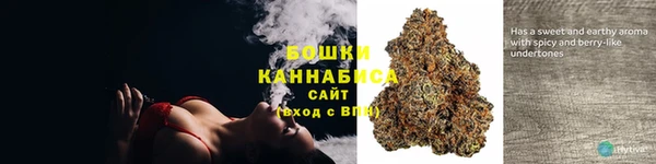 PSILOCYBIN Абаза